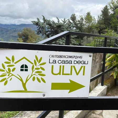 Villa La Casa Degli Ulivi Camporosso  Esterno foto