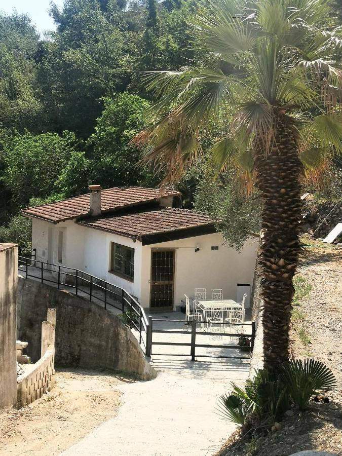Villa La Casa Degli Ulivi Camporosso  Esterno foto